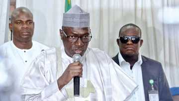 Tura ta kai bango: Yadda APC ta zama jam'iyyar batattu - Makarfi