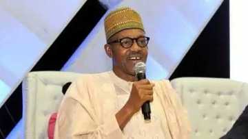 Some Ministers Won't Get Any Portfolio - President Buhari