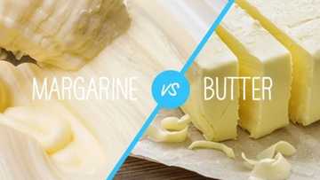 Difference between butter and margarine