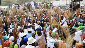 Hoodlums attack APC defectors in Osun, beat them mercilessly