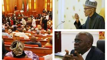 For suspending Ali Ndume and inviting Prof Sagay, Femi Falana tells Buhari what he must do to Senate