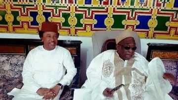 Rasuwan dattijon arziki, Alh Yusuf Maitama Sule: Munyi rashin babban ginshiki a tarihin kasarmu – Sanata Shehu Sani