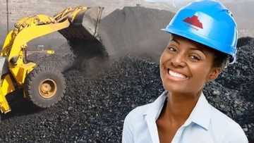 10 leading mining companies to extract gold, iron and other minerals in Nigeria