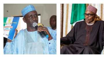 JUST IN: Pressure mounts on ex-Governor Shekarau to contest against Buhari in 2019