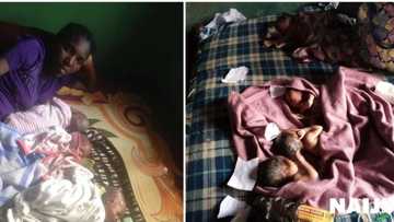 Nigerian lady gives birth to quadruplets in Ibadan (photos)