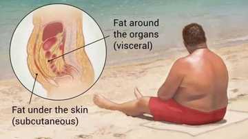 Sabon bincike: Rashin cin abincin safe zai iya sanya kiba da kuma girman kugu