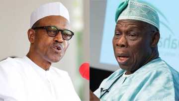 Why Nigerians should ignore Obasanjo's criticism of Buhari - APC leader in UK reveals