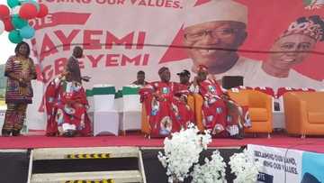 Wani ‘Dan Majalisar Kano na goyon bayan a tika Ministan Buhari da kasa a zaben Ekiti