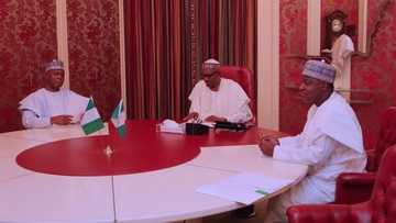 Hadamarku ta yi kamari - Shugaba Buhari ya fadawa 'yan majalisa