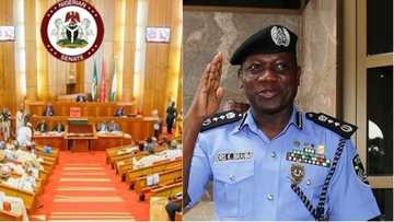 Da dumin sa: Majalisar dattijai zata dauki tsatstsauran mataki a kan Sifeton 'yan sanda, sun shiga ganawar sirri