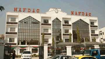 Hukumar NAFDAC ta dakile wata babbar annoba da aka so shigowa da ita kasar nan