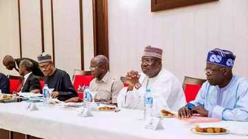 Kato-bayan-kato: Jam'iyyar APC ya amince da sabon salon zaben fitar da gwanin ta