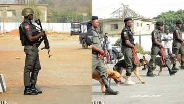 Yanzu-Yanzu: An gano 2 daga cikin 'yan sanda 4 da suka bace a jihar Benue