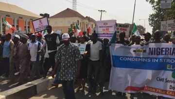 Gani ya kori ji: Dubi yadda kungiyar kwadago da ma'aikata ke gudanar da zanga-zanga a jihar Kaduna
