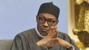 FG still owes pensioners 14 months arrears since 2017 - Pension commission reports