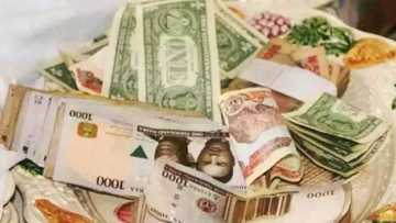 BDC chief warns that currency speculators stand to lose billions of Naira to new forex policy