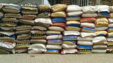 Opinion: So, Nigeria’s now highest rice producer in Africa? by Ating