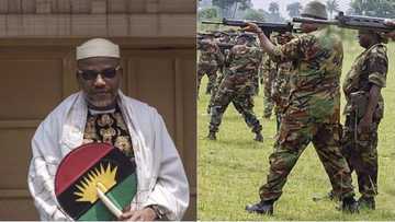 These are 8 reasons the army labeled IPOB group terrorists