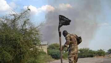 Boko Haram sun yi barna a Jihar Borno yayin da ake bukukuwan addini