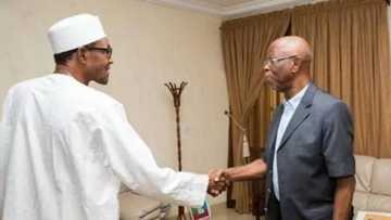 Why agents of distabilisation held sway in Nigeria in Buhari’s absence - Oyegun
