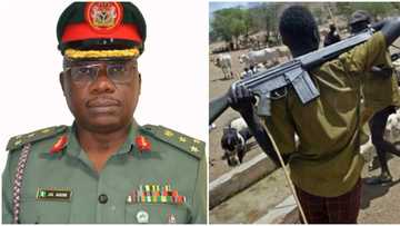 Political thugs are sent to kill people; then labeled as herdsmen - Defense spokesman makes stunning revelation