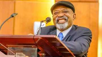 Fact check: How accurate is Ngige’s claim that Buhari administration has created ‘more than 5-7 million jobs’?