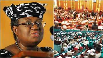Former minister exposes National Assembly; reveals how lawmakers received N17b to pass 2015 budget