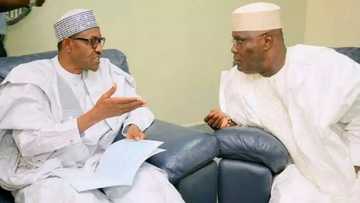 Breaking: Tribunal declines Atiku, PDP's request to inspect server