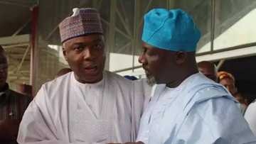 What Saraki told me about Dino Melaye - Senator Adamu