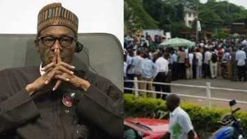 Kogi state labour unions seek President Buhari's intervention in salary crisis