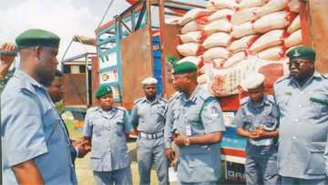 Jami'an Kwastam Sun Dira Wata Kasuwa a Ibadan, Sun Ƙwace Buhunan Shinkafa