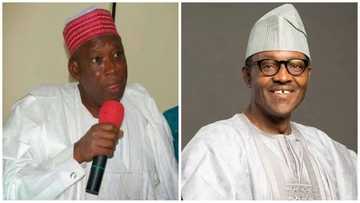 Zan shigar da Buhari kara koru idan bai tsayawa takarar zabe ba, inji Ganduje