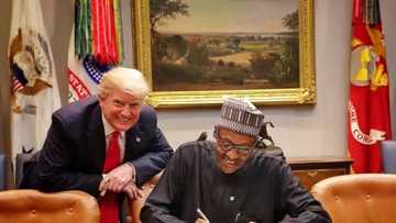 Zaben shugaban kasa: Bamu da yar mowa ko yar bora a Najeriya – Amurka