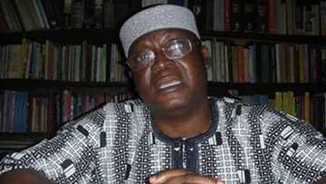 Just in: Adeyeye becomes Senate's spokesperson