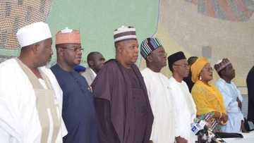 Za mu cigaba da aiki tare don ciyar da Arewa gaba – Gwamnonin Arewa ga Buhari