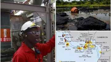 Nigeria to earn N3trn from new oil field, SEE where it was discovered (photo)