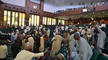 Reps demand answers from govt agency for selling cars, generators other items worth N2bn for just N13m