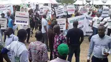 A kawo mana rahoton duk wani dan luwadi da madigo, zamu yi maganinsa – matasa