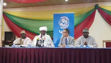 Adadin rayukan kananan Yara da ta'addancin Boko Haram ya salwantar a Arewa maso Gabas - UNICEF