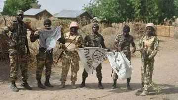 Manyan Sojojin Shekau sun mika wuya a gaban Sojojin Najeriya