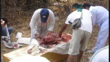 Abun da China keyi da naman jaki zai baka mamaki (Karanta)