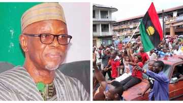 Anti-Igbo song: APC national chairman finally reacts, reveals how 2015 election led to the rise of hate speeches