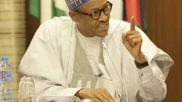 YANZU YANZU: Shugaban kasa Buhari ya aika da sakon Sallah mai karfi ga ‘yan Najeriya