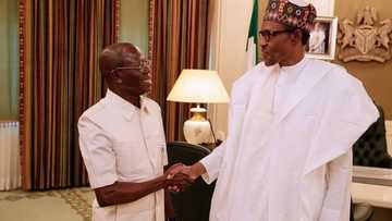 Buhari, Oshiomhole, APC are good brands ahead of 2019 elections - Party chieftain