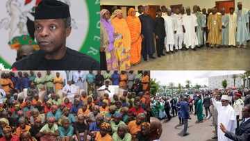 Osinbajo reveals secret Buhari told him after release of Chibok girls