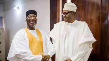 Dalilin mu na kin goyawa Buhari baya - Kungiyar dattijan Arewa