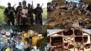 Boko Haram faction raids Kimba village in Borno refuses to harm residents