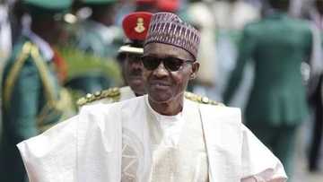 'In Buhari yaso zai iya dakatar da hare-haren makiyaya' - SERAP