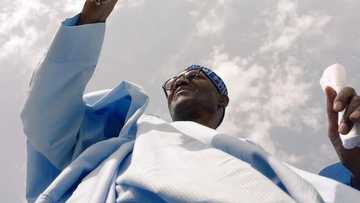 Buhari Runs Northern Government? SEE All His Appointments So Far
