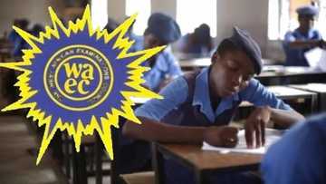 26% of candidates score five credits including Maths and English as WAEC performance drops